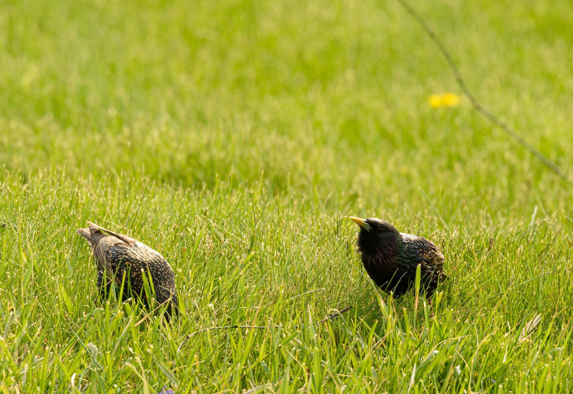 Common Mistakes That Undermine a Clean Aesthetic