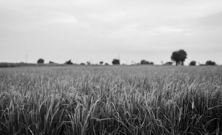 How to Transition From Casual to Clean Streetwear - Featured image