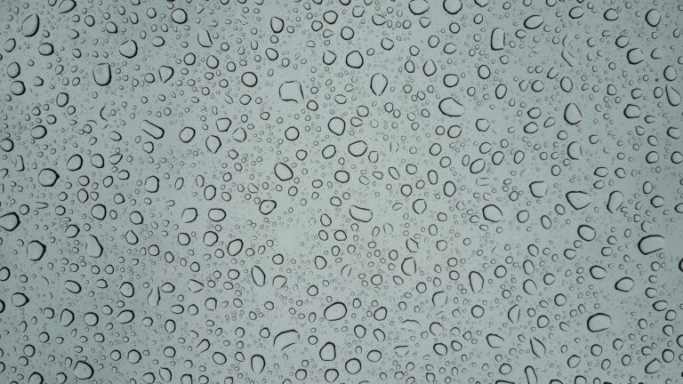 The Supreme Drops You Need to Know About - Featured image