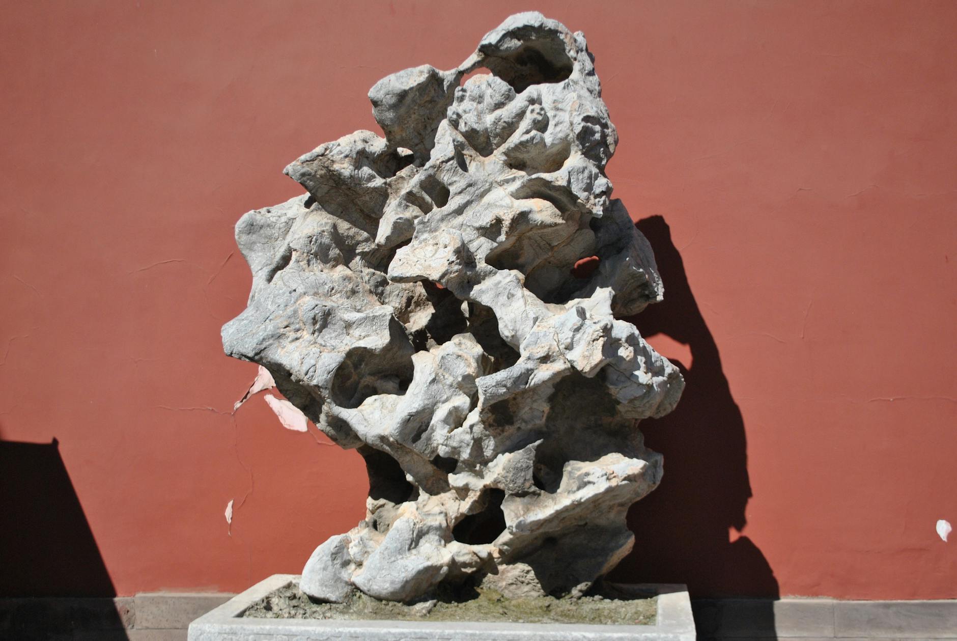 How Celebrity Culture Amplified Stone Island's Status