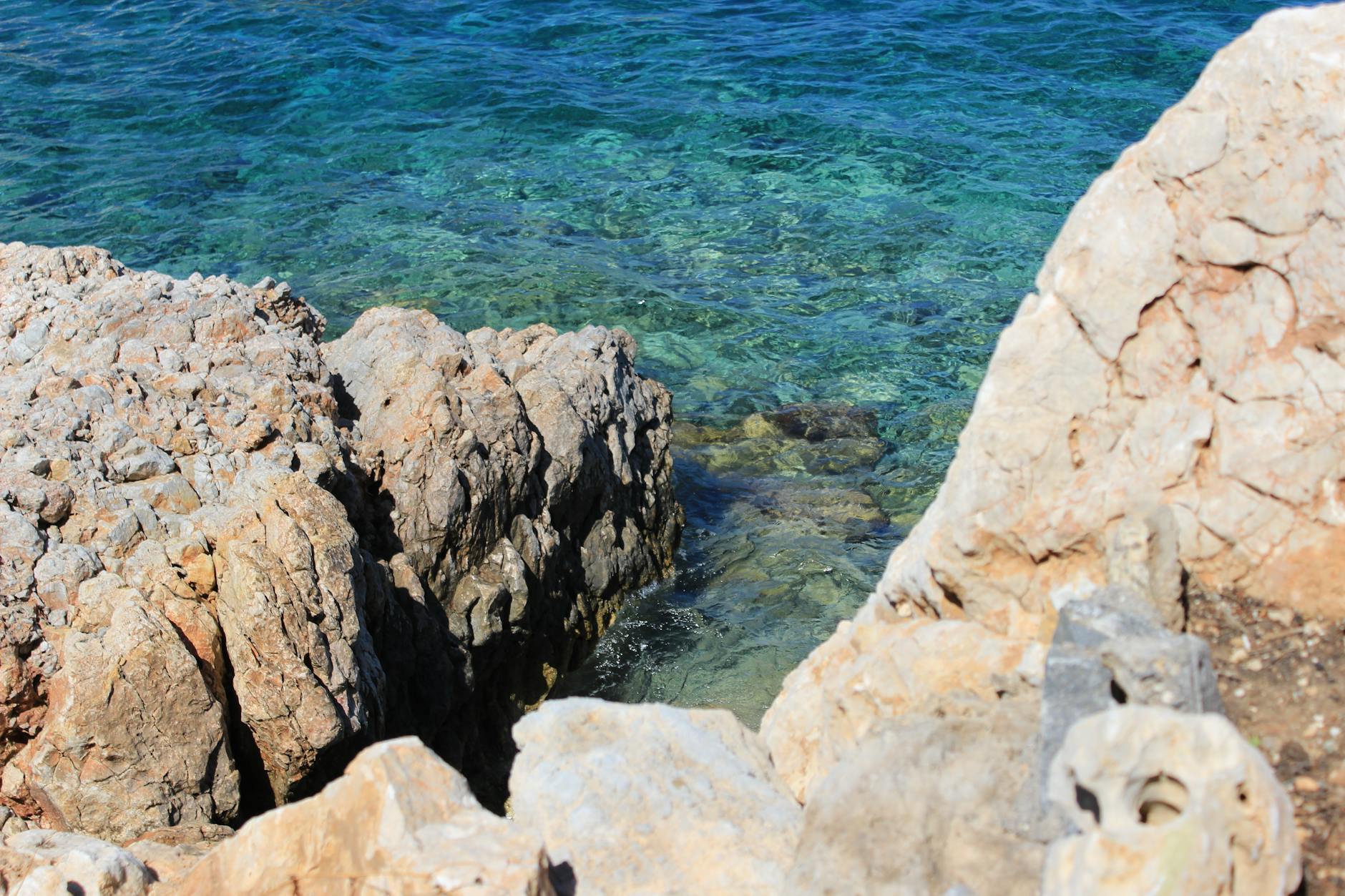 Is Stone Island's Growth Sustainable, or Are We Seeing a Hype Bubble?