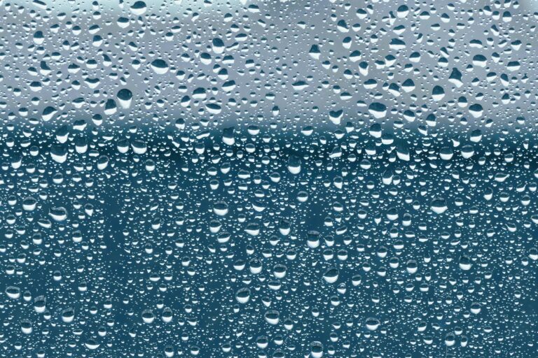 The the North Face Drops You Need to Know About - Featured image