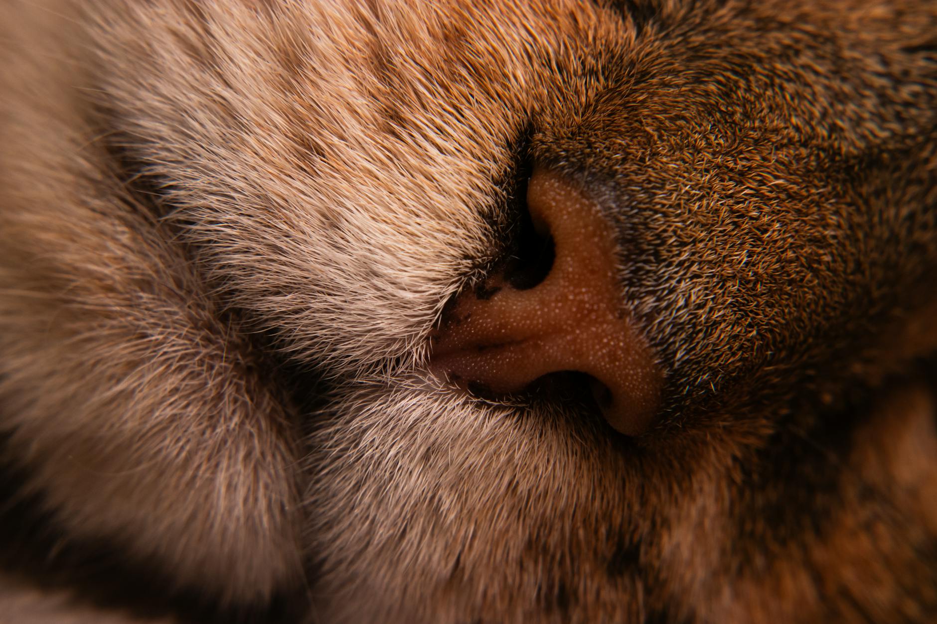 What Are the Most Sought-After Chrome Hearts Pieces of 2026?