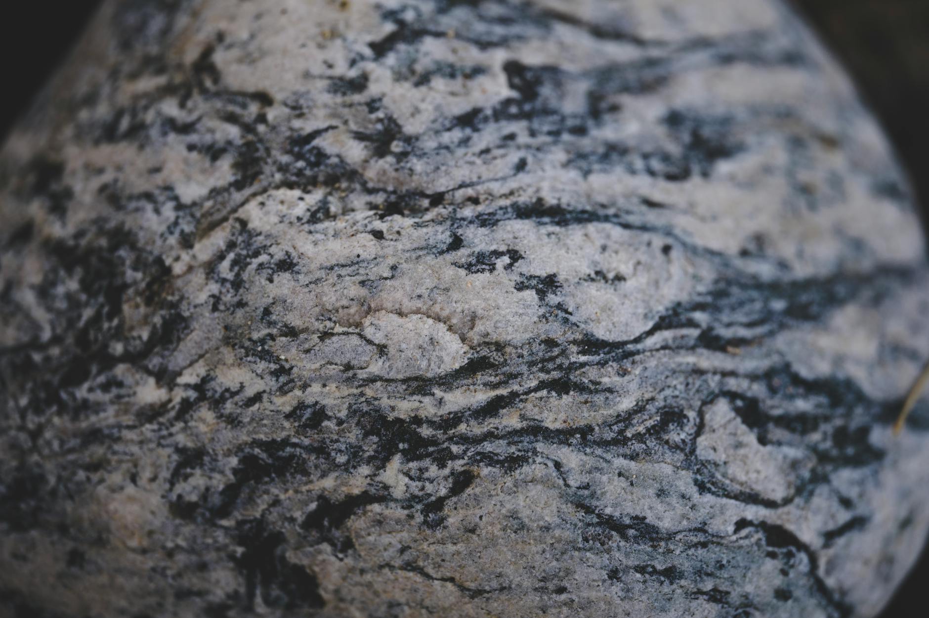 What Justifies Stone Island's Premium Pricing?