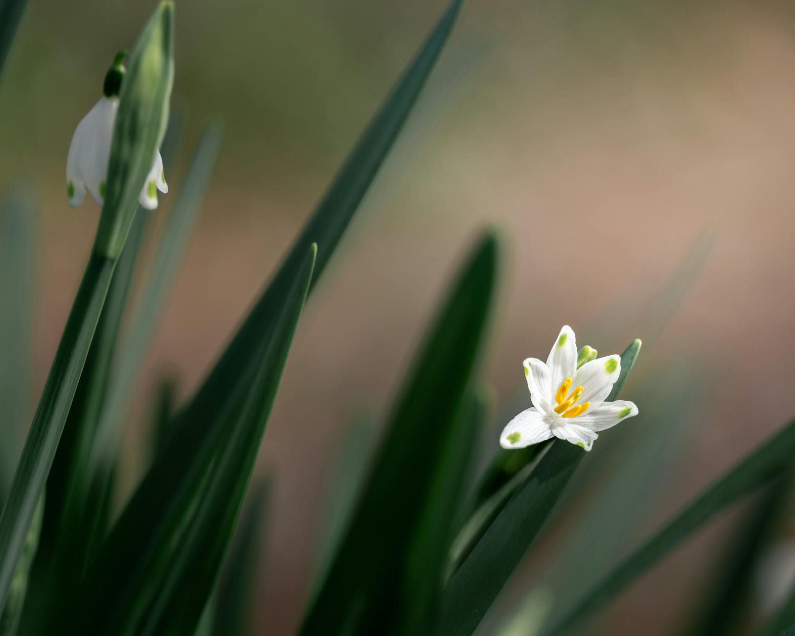 What Makes Spring 2026 Burberry Stand Out From Previous Seasons?