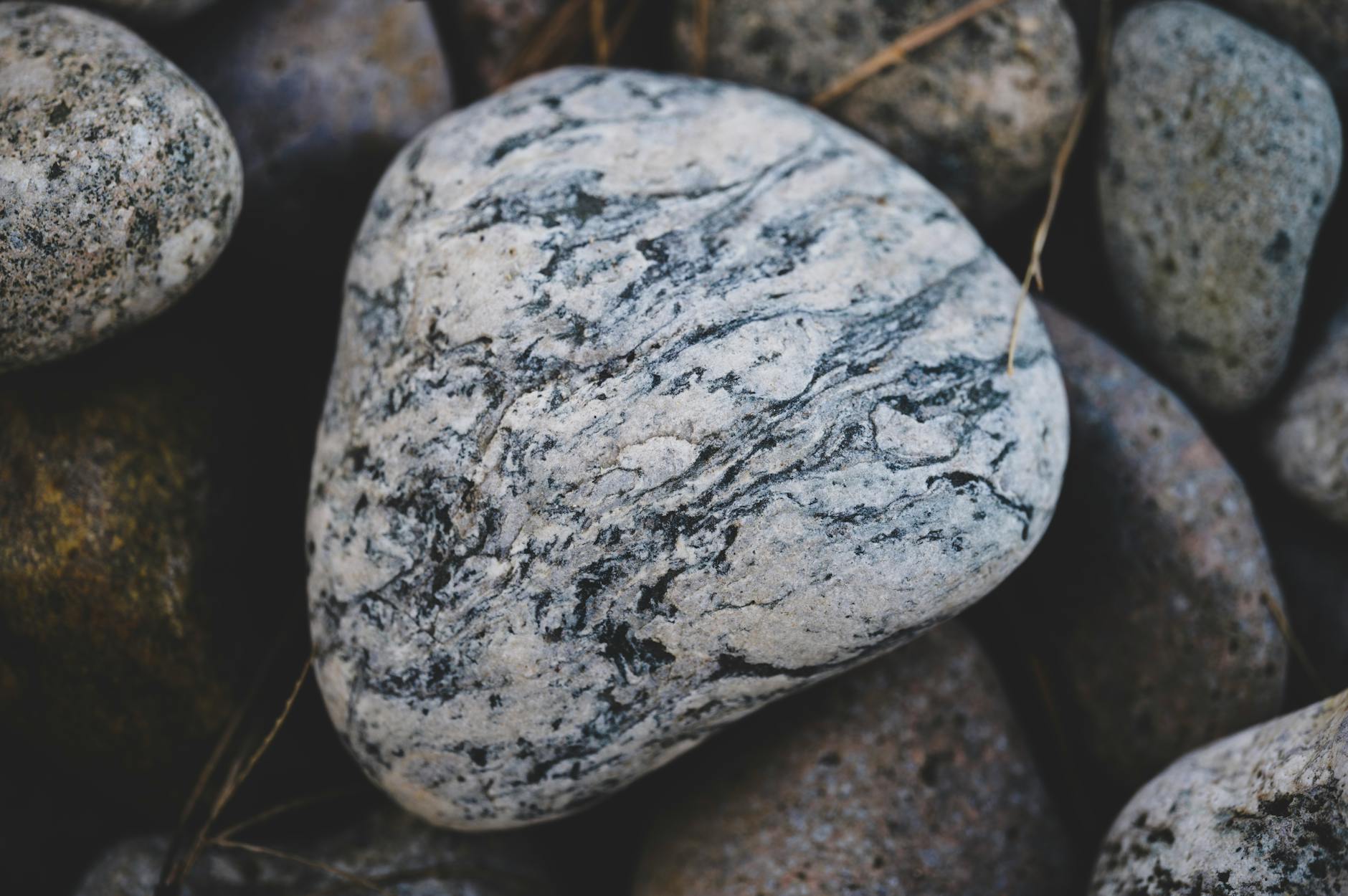 What Makes Stone Island's 2026 Pieces Stand Out from Previous Seasons?