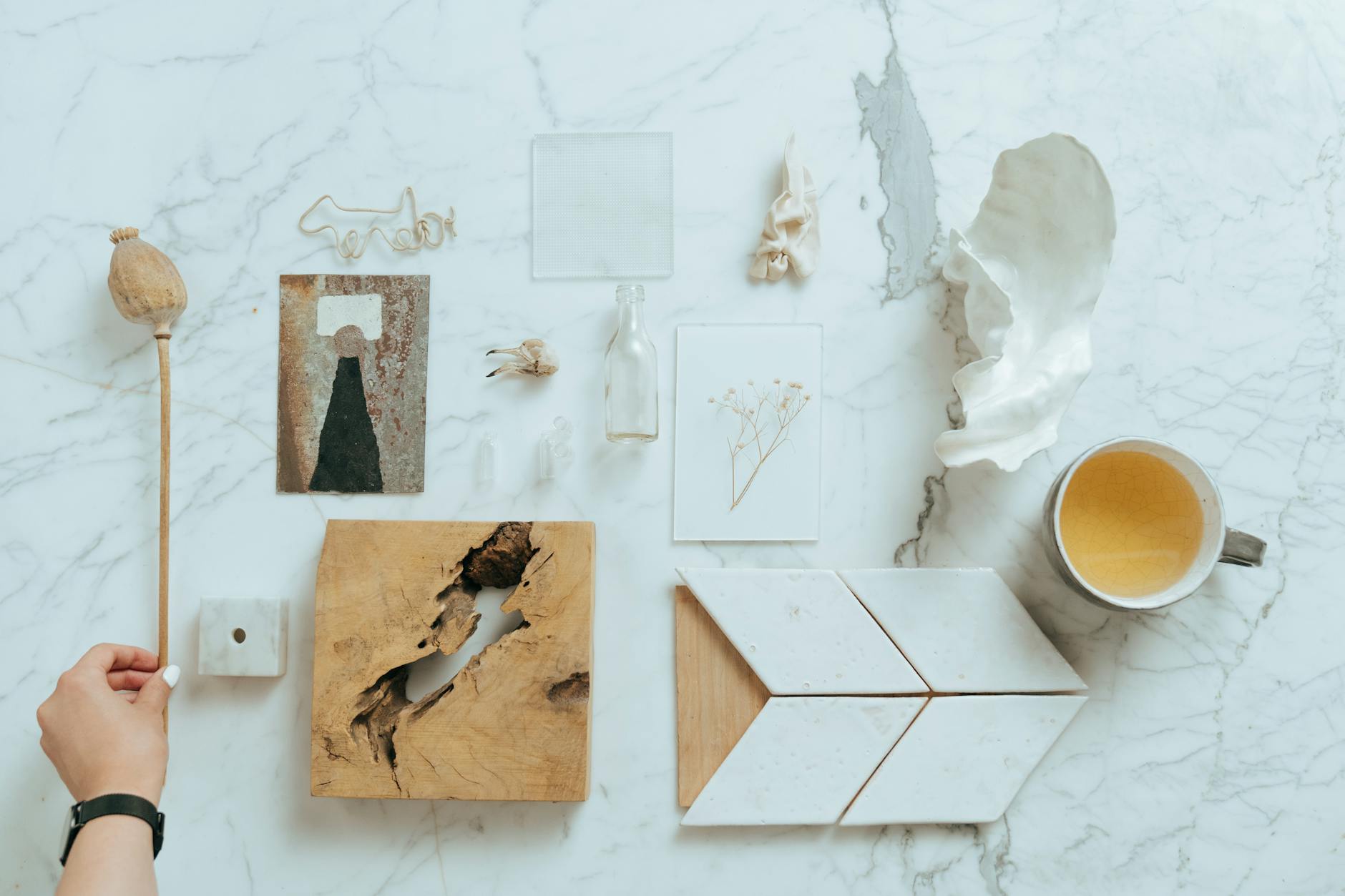 Distinctive Design Elements to Look for in Alternatives