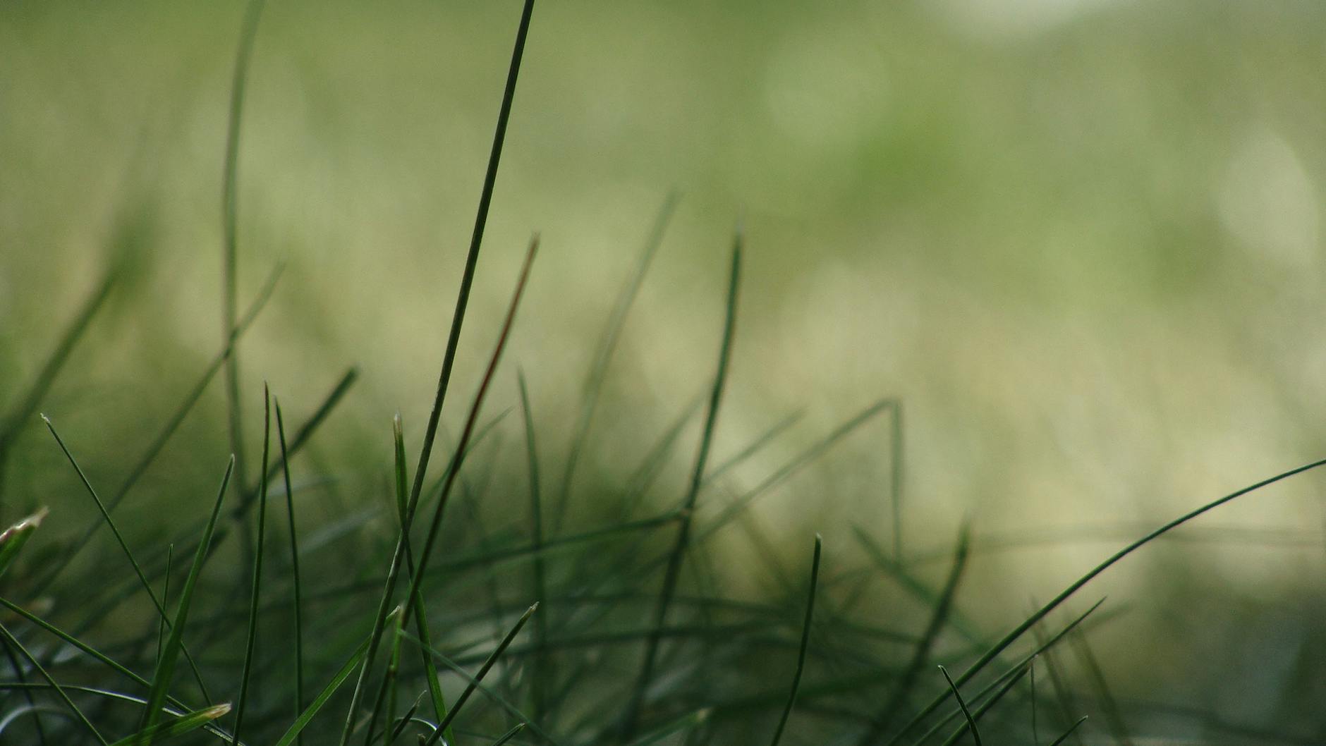 SPRING AND SUMMER COLLECTIONS—UNDERSTANDING THE SHIFT TO COLOR AND CONSTRUCTION