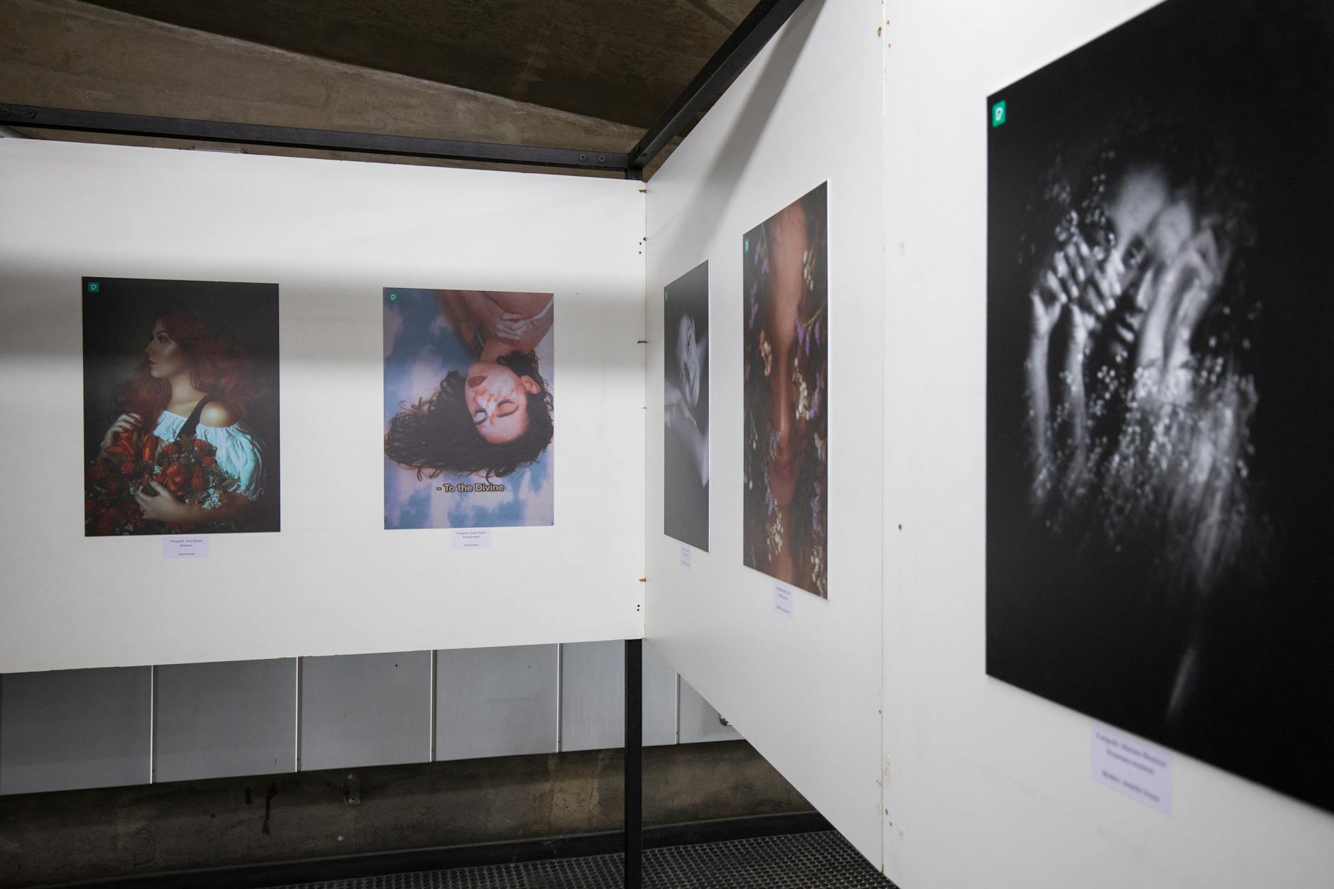 What Makes Gallery Dept Collaborations Stand Out in Today's Market?