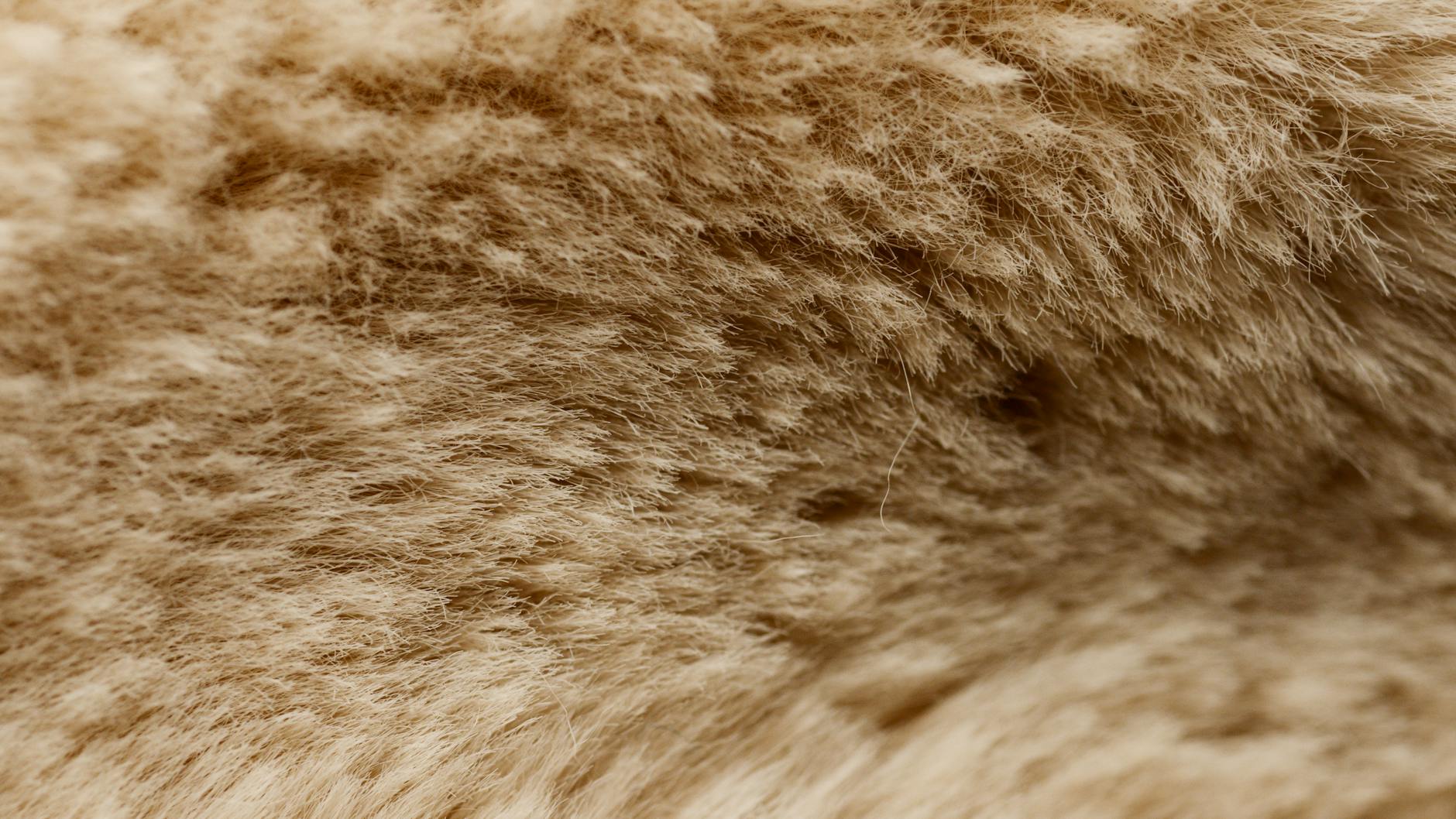 Why Insulation Quality Determines Durability